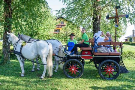 FOTO- Vinogradniki na Debelem hribu postavili klopotec 5